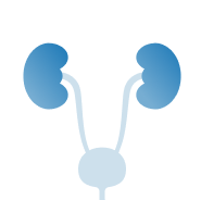kidney